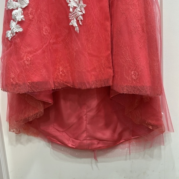 Prom Dress - Halter, Lace Up Back & Zipper - Picture 15 of 17